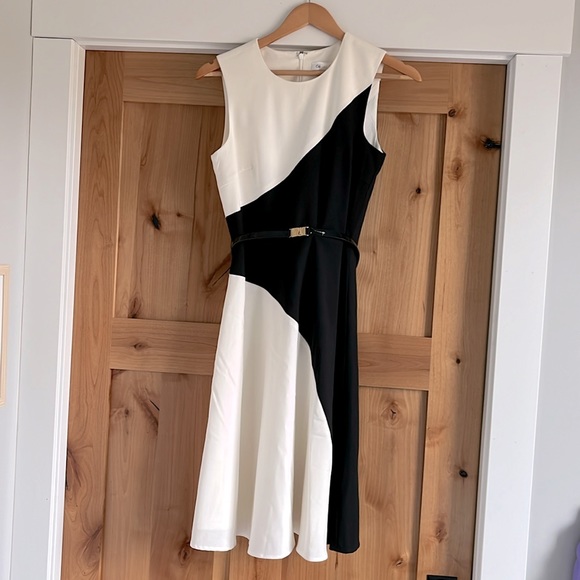 Calvin Klein Dresses & Skirts - Calvin Klein Color Block Dress with Belt